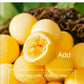 Genki series quail egg yellow freeze-dried