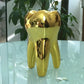 Dentist Tooth Decoration For Dental Clinic