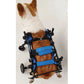 Four-Wheeled Wheelchair For Dog Pet Hind Leg Support Dog Elderly Mobility Aid Car Teddy