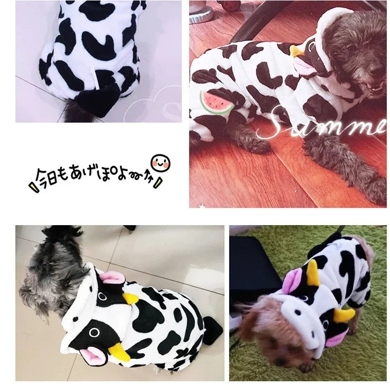 Pet Dog Clothes