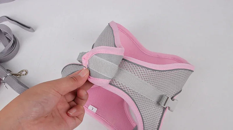 Puppy Harness Set Dog Accessories Adjustable Puppy and Cat Harness Vest French Bulldog Chihuahua Small Dog Collar Pet Leash Dogs