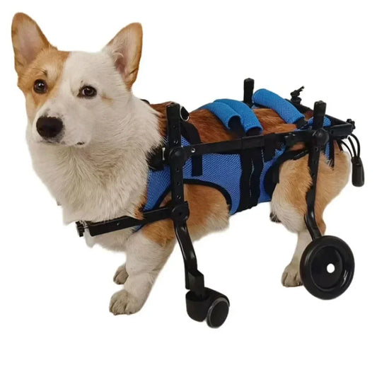 Four-Wheeled Wheelchair For Dog Pet Hind Leg Support Dog Elderly Mobility Aid Car Teddy