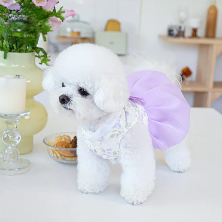 Pet Clothing Dog