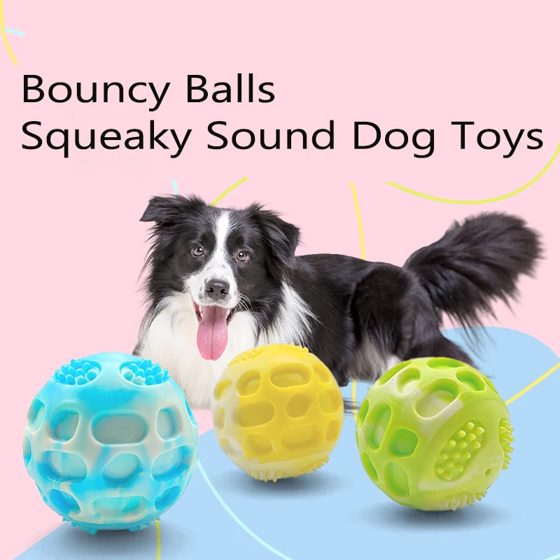 Pet dog toys are sturdy