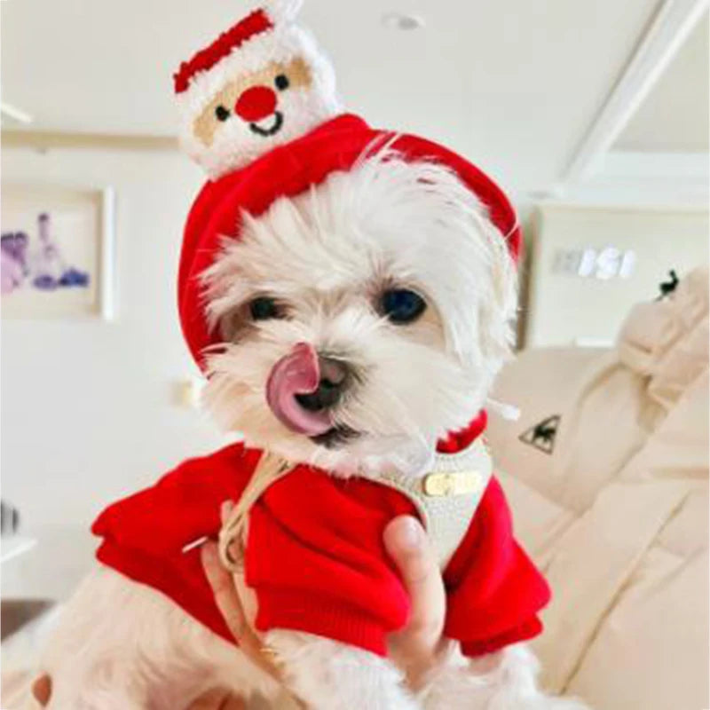 Pet Christmas clothing,