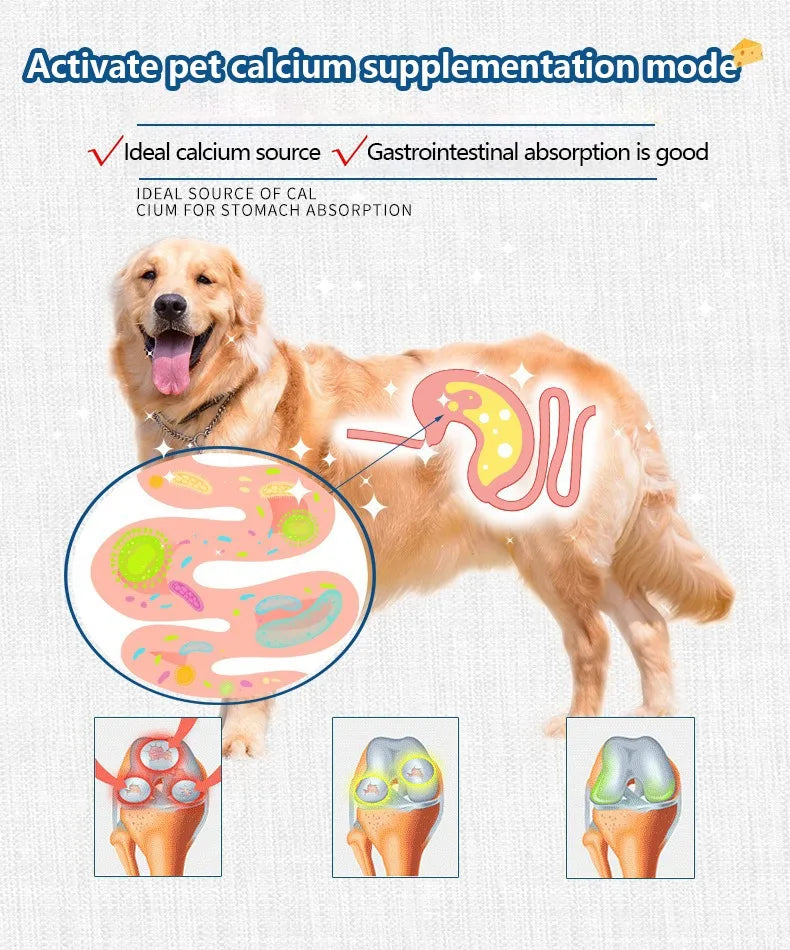 Pet Freeze-dried Food High Calcium Cheese