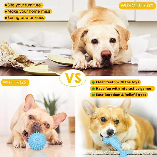 5-pack pet toys plush dog