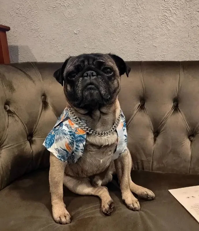 Dog Chain Collar Diamond Cuban Link Necklace Metal Cat Chain Pet Crystal Collar Jewelry Accessories for Dogs Cats