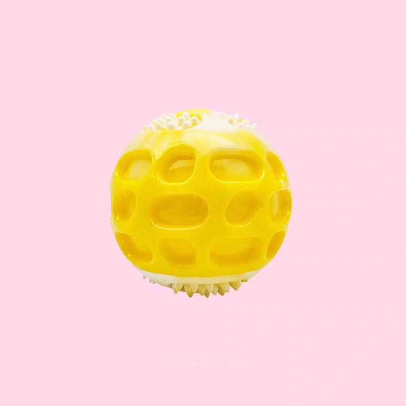 Pet dog toys are sturdy