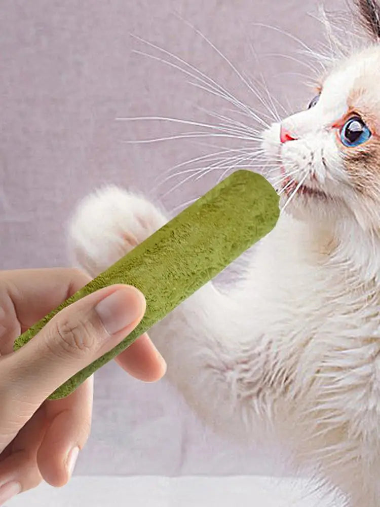 5Pcs Cat Grass Sticks Pet Edible