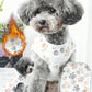 Flannel pet clothing