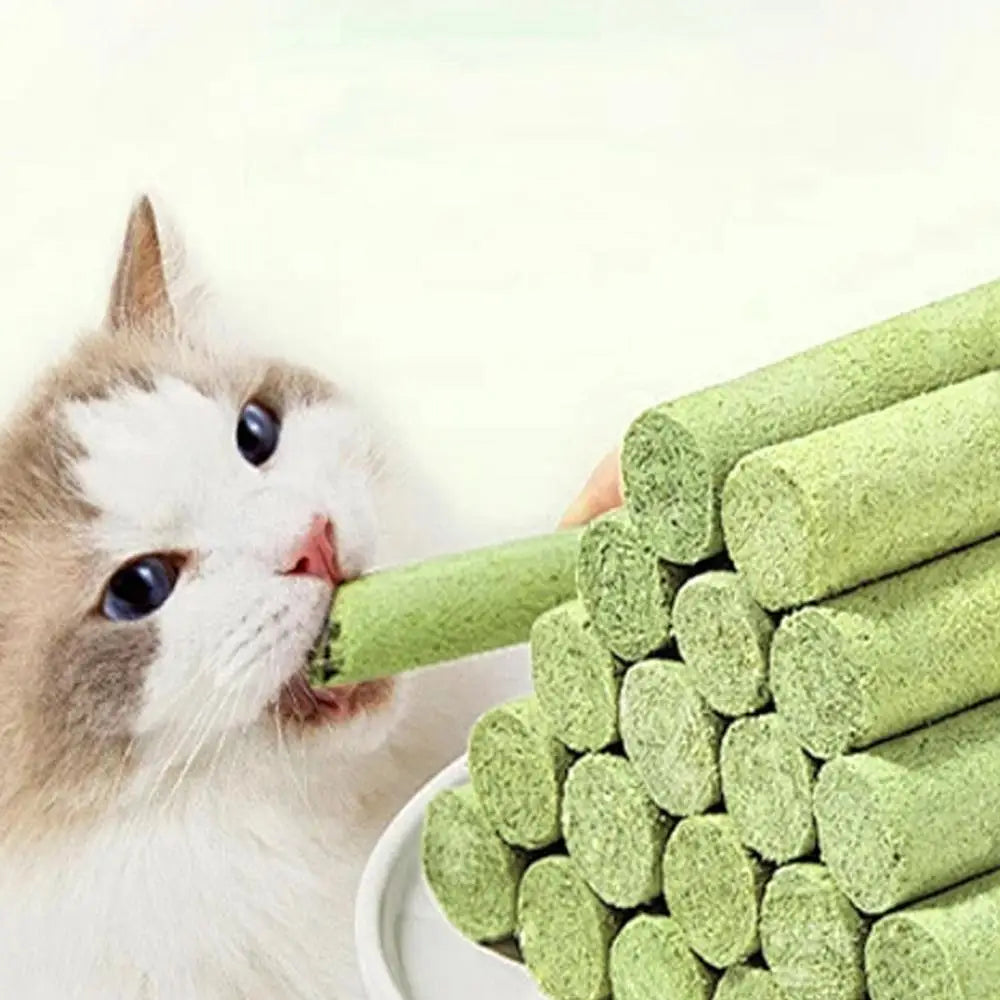 5Pcs Cat Grass Sticks Pet Edible