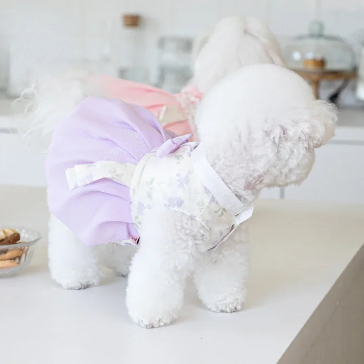 Pet Clothing Dog