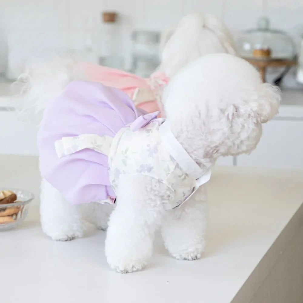 Pet Clothing Dog