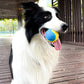 Dogs Interactive Toys Soft TPR