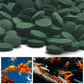 100pcs Spirulina Tablets Enrichment Favorite Pet