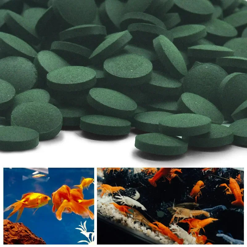 100pcs Spirulina Tablets Enrichment Favorite Pet