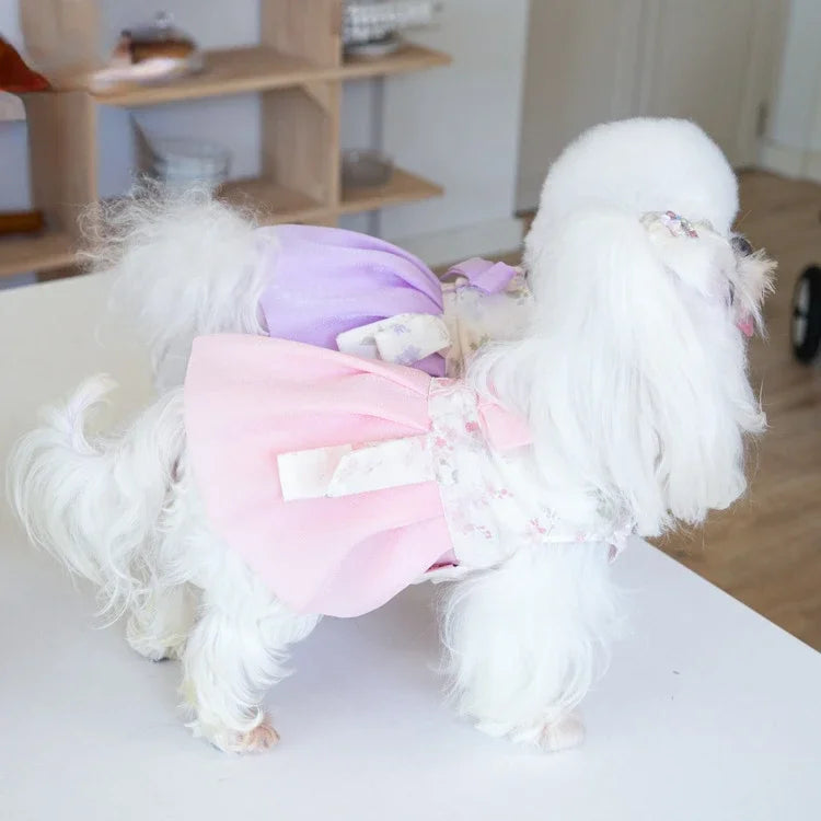 Pet Clothing Dog