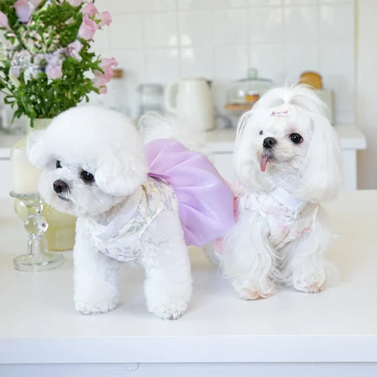 Pet Clothing Dog