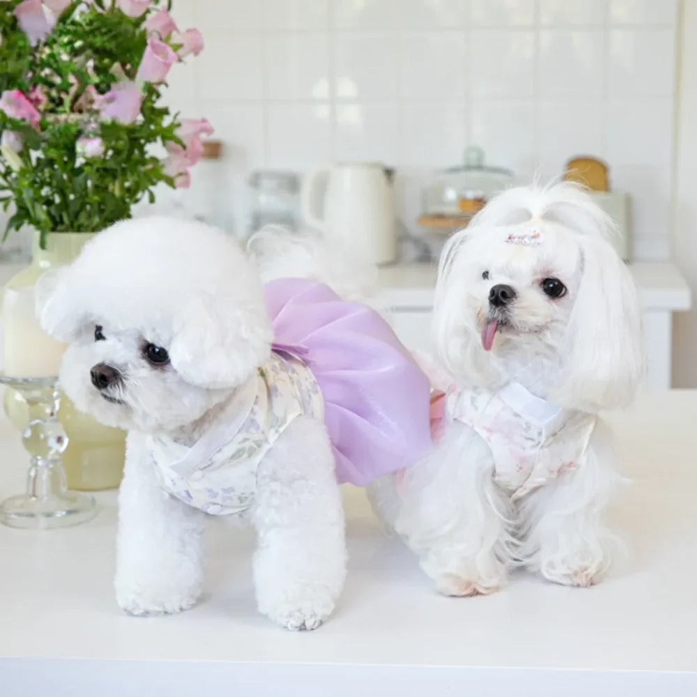 Pet Clothing Dog