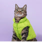 Pet cotton clothing,