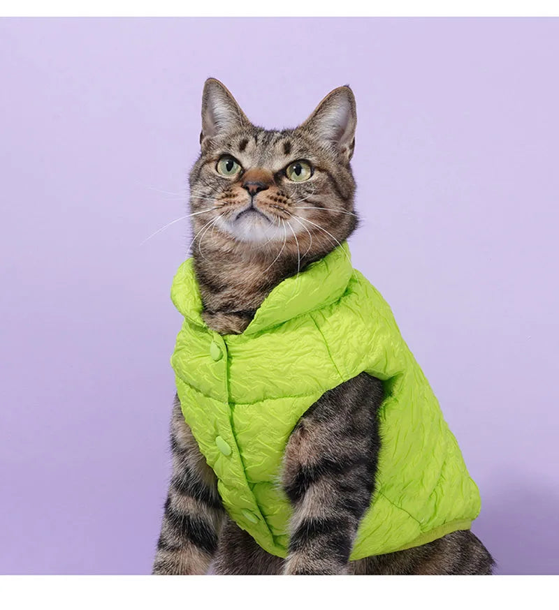 Pet cotton clothing,