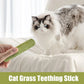 5Pcs Cat Grass Sticks Pet Edible