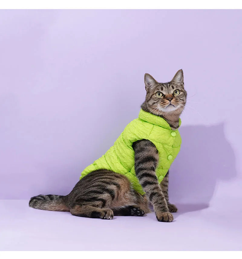 Pet cotton clothing,