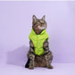 Pet cotton clothing,