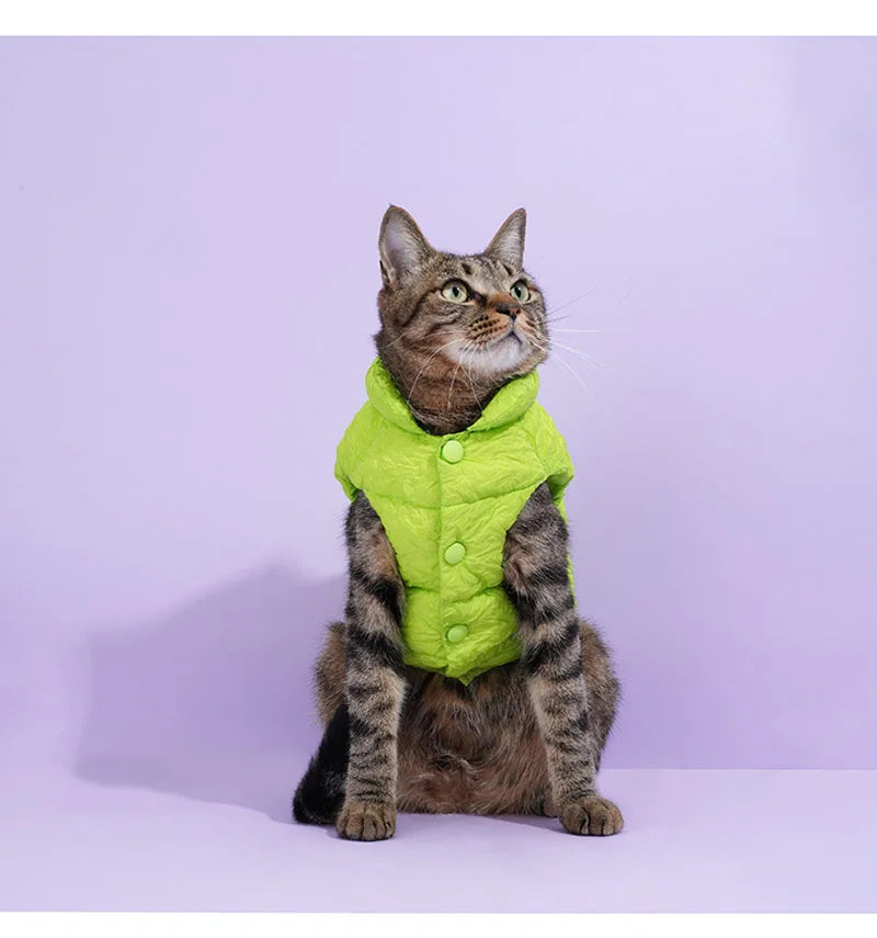 Pet cotton clothing,