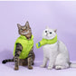 Pet cotton clothing,