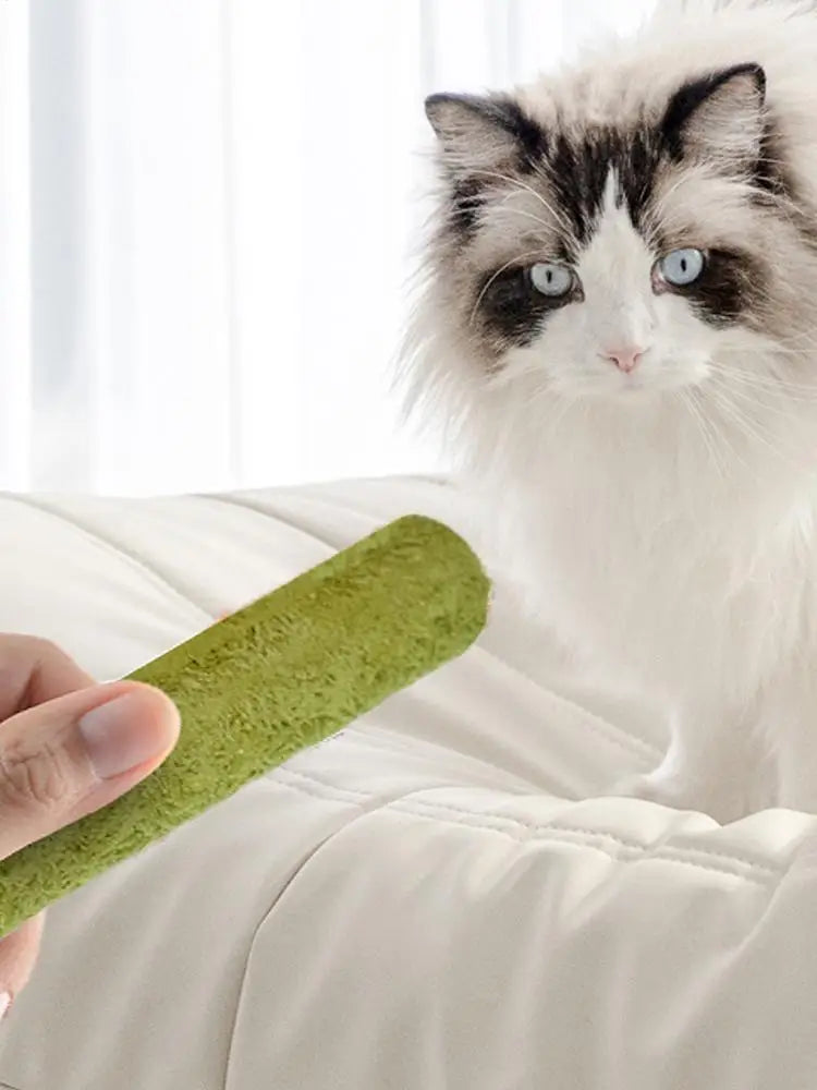 5Pcs Cat Grass Sticks Pet Edible