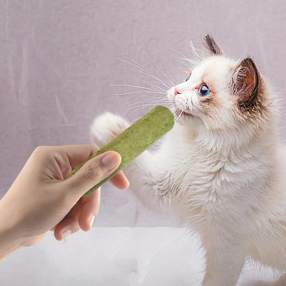5Pcs Cat Grass Sticks Pet Edible