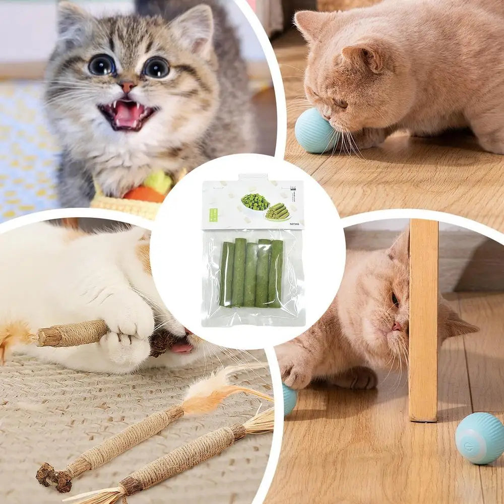 5Pcs Cat Grass Sticks Pet Edible