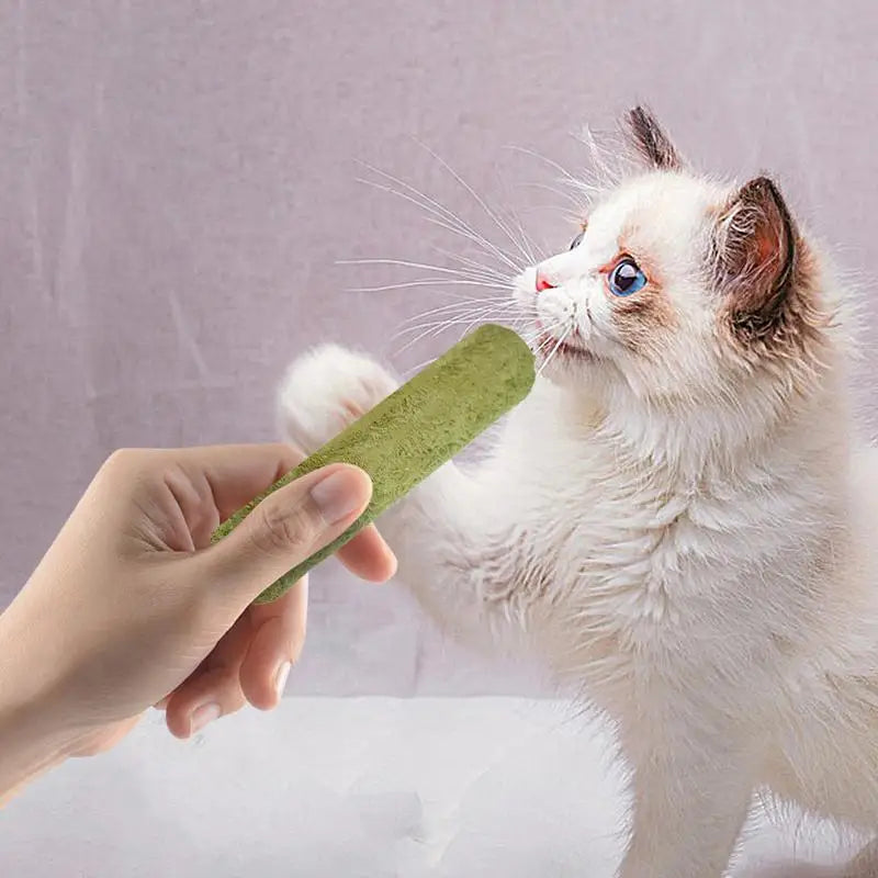 5Pcs Cat Grass Sticks Pet Edible