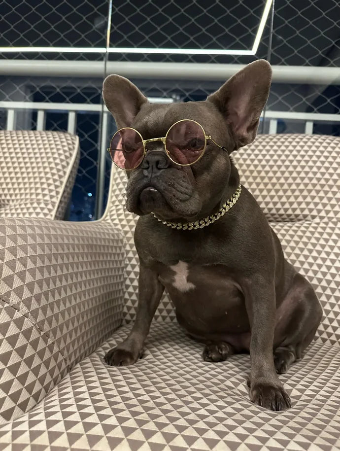 Dog Chain Collar Diamond Cuban Link Necklace Metal Cat Chain Pet Crystal Collar Jewelry Accessories for Dogs Cats