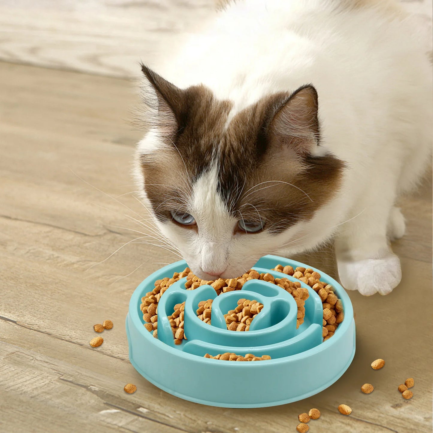 Pet Slow Food Bowl - Non