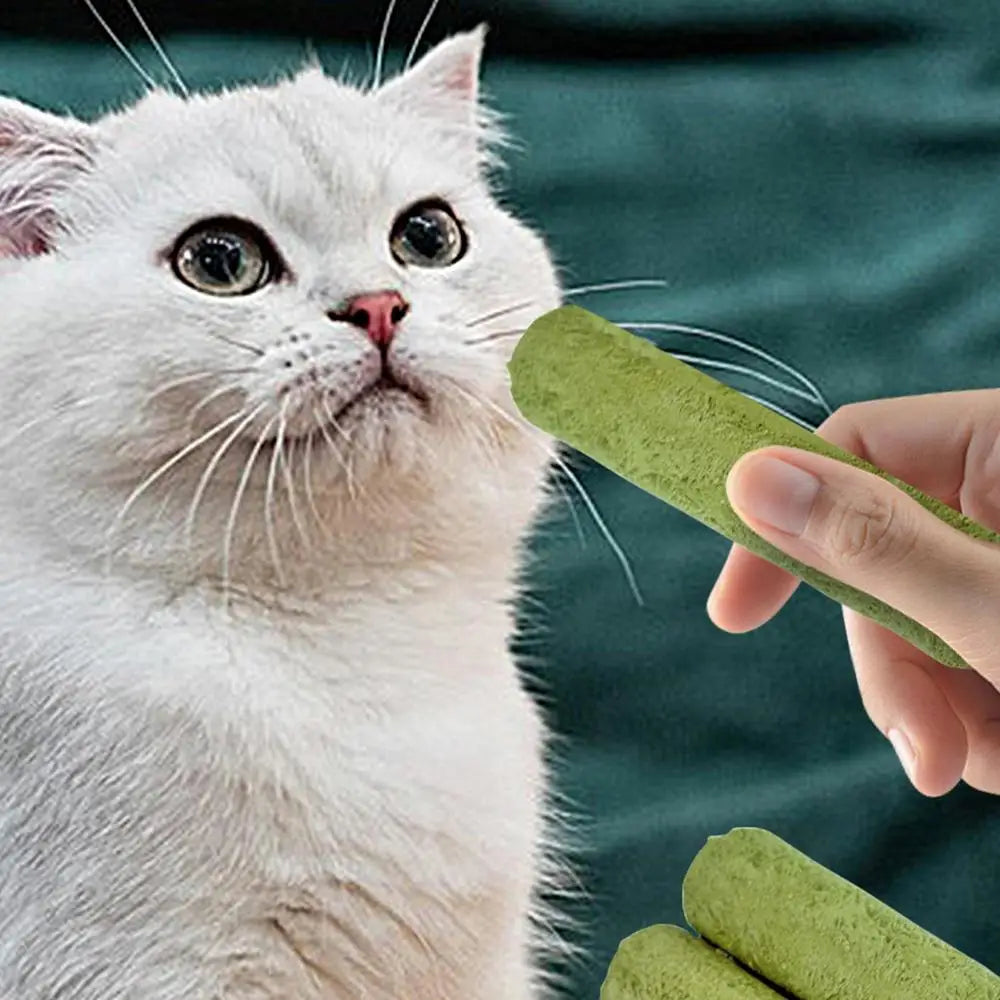 5Pcs Cat Grass Sticks Pet Edible