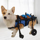 Four-Wheeled Wheelchair For Dog Pet Hind Leg Support Dog Elderly Mobility Aid Car Teddy