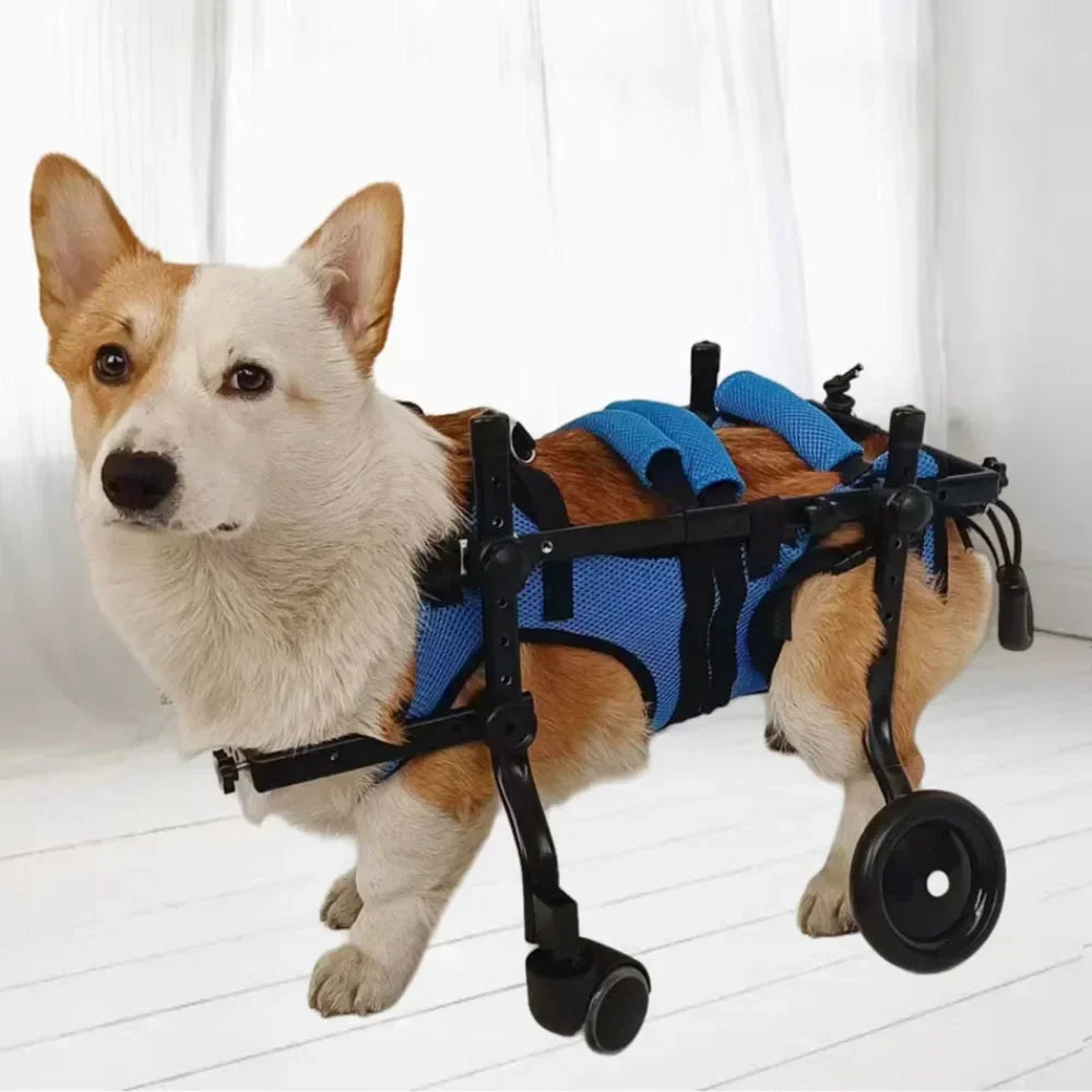 Four-Wheeled Wheelchair For Dog Pet Hind Leg Support Dog Elderly Mobility Aid Car Teddy