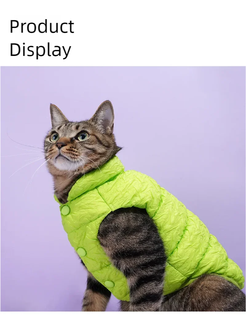 Pet cotton clothing,