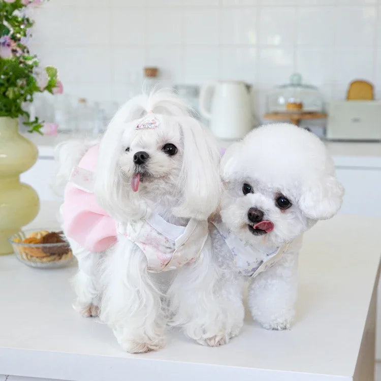 Pet Clothing Dog