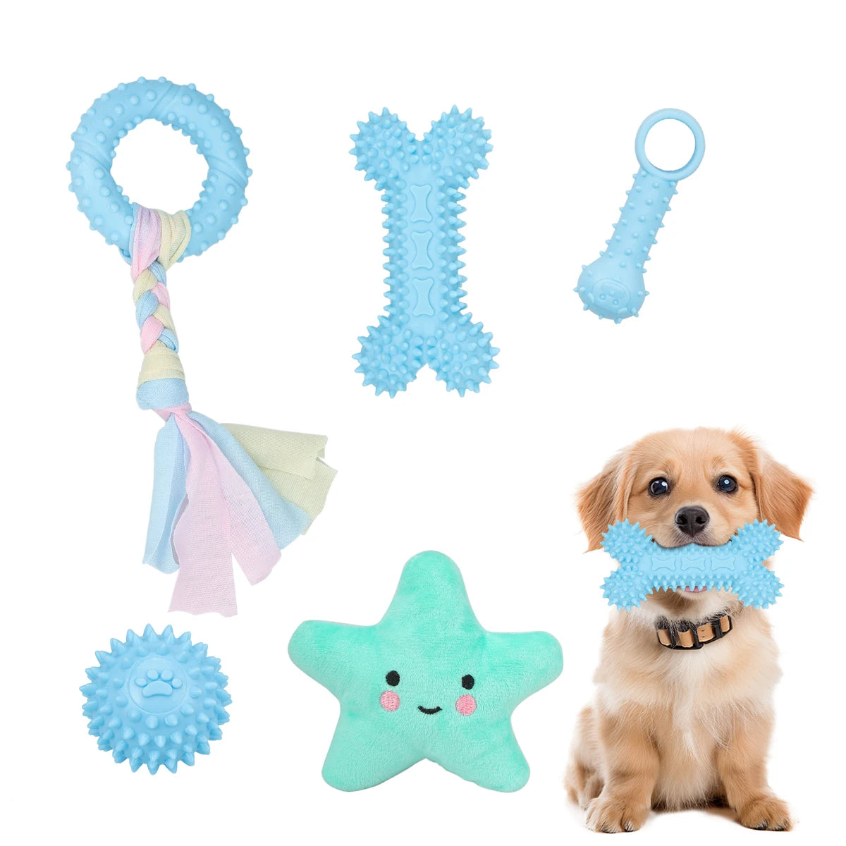 5-pack pet toys plush dog