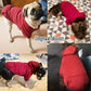 Fashion Pet Clothes
