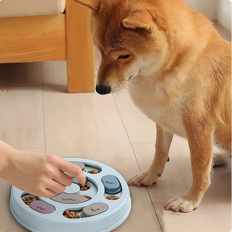 Pet Feeder Dog Educational Toys Increase