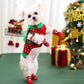 Pet Christmas clothing,